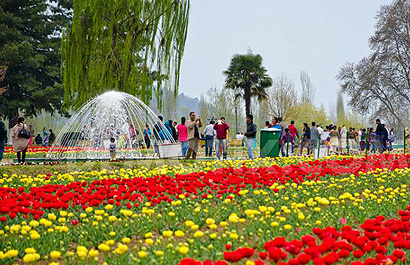 Kashmir Tour Packages