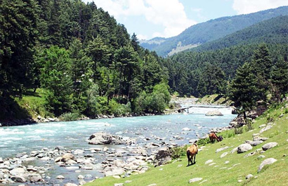Kashmir Tour Packages